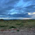 Wild Life of Africa 333