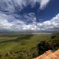 Wild Life of Africa 343